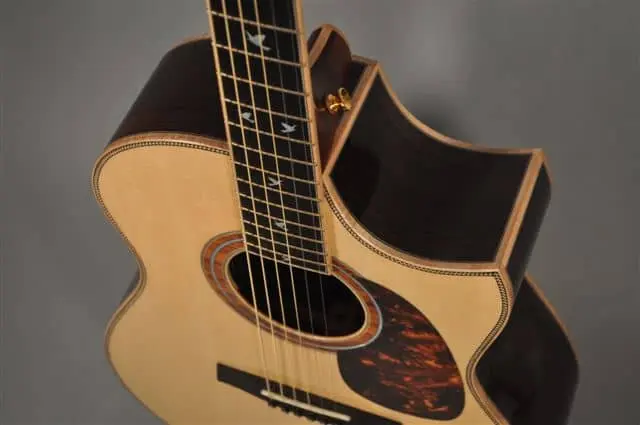 cutaway guitar detail