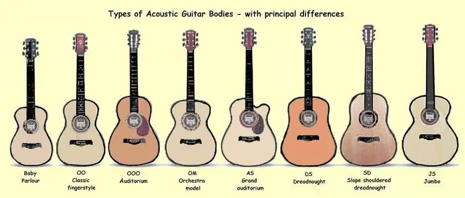 Types od acoustic guitars bodies