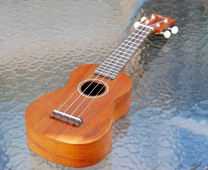 Ukulele seems like the perfect instrument for some songs