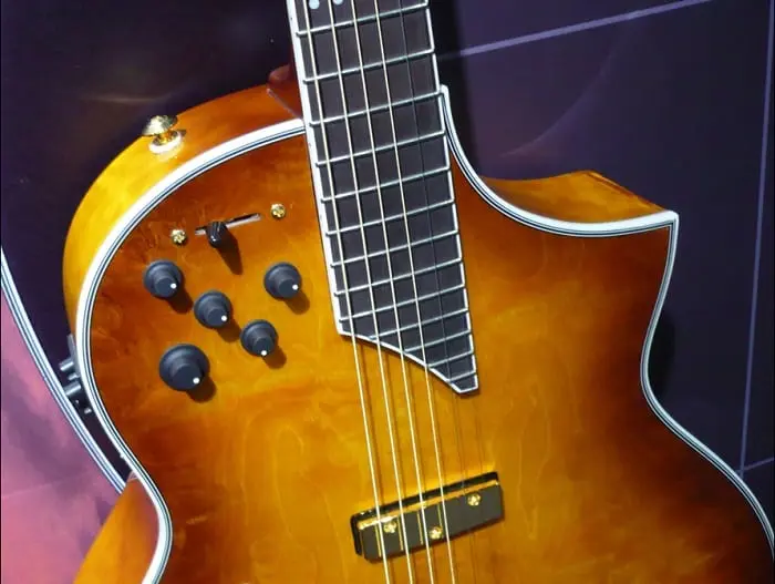 This combination of pickups gives you both an acoustic and electric properties in one guitar. 