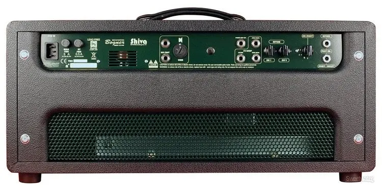 bogner-shiva-head-review