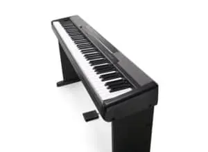 a great lineup of entry level pianos is Casio.