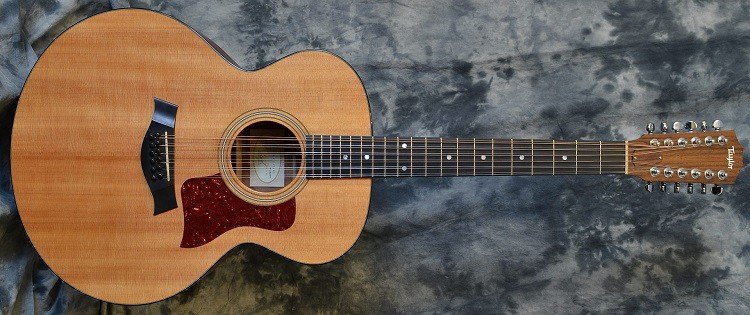 12 string guitars is to give the user a richer sound from a single instrument