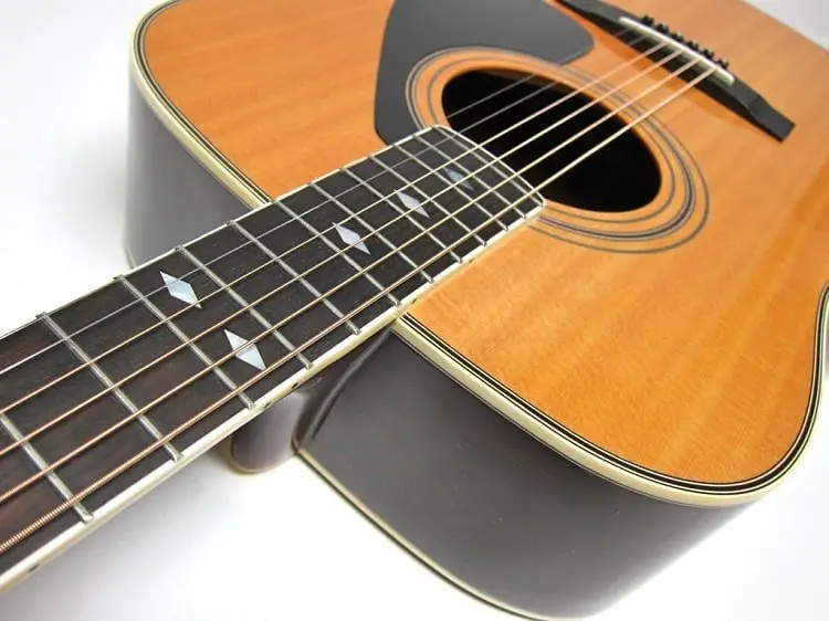 dreadnought design - neck is made of nato with an Indian rosewood fretboard