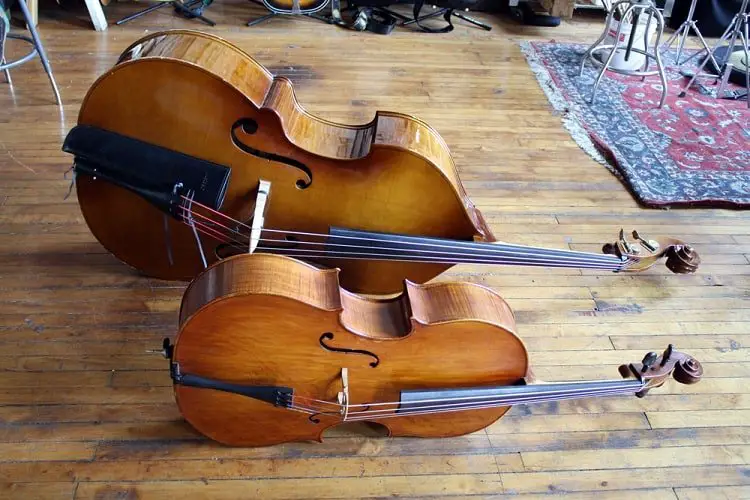 bass vs cello comparison