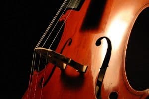 comparing violin and cello popularity