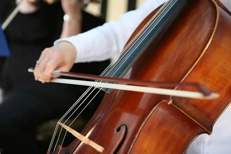 difference between cello and bass