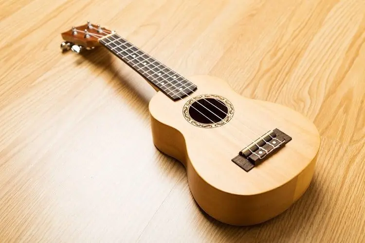 Parts Of A Ukulele - What Makes The Uke Sound So Good?