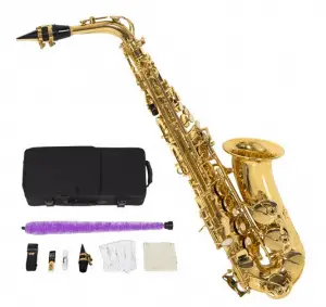 Best Saxophone Brands | Alto Sax Reviews for 2025