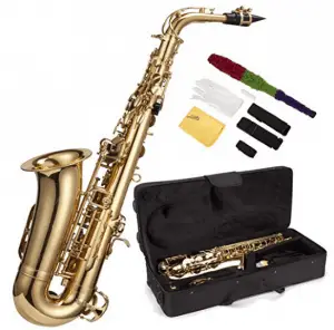 Best Saxophone Brands | Alto Sax Reviews for 2025