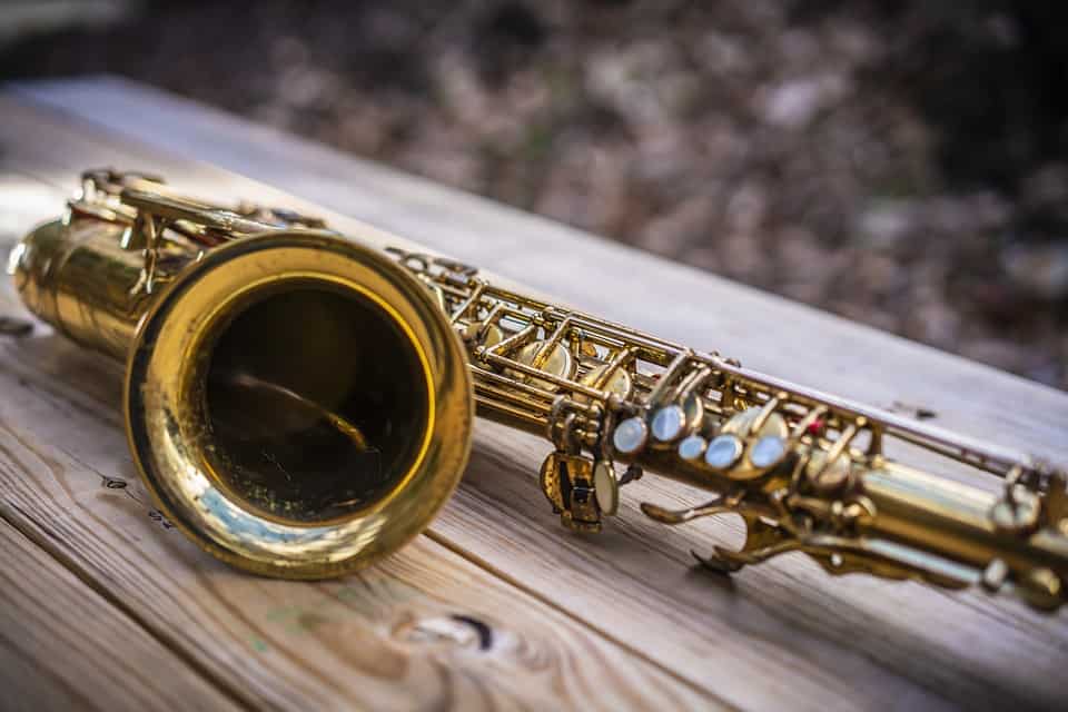 The Best Saxophone For Beginners Alto Babe Models Reviewed