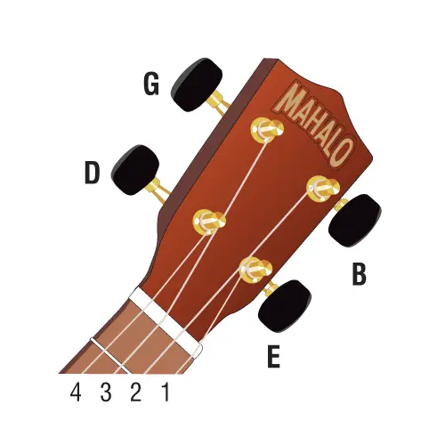 Best Baritone Ukulele Tuner